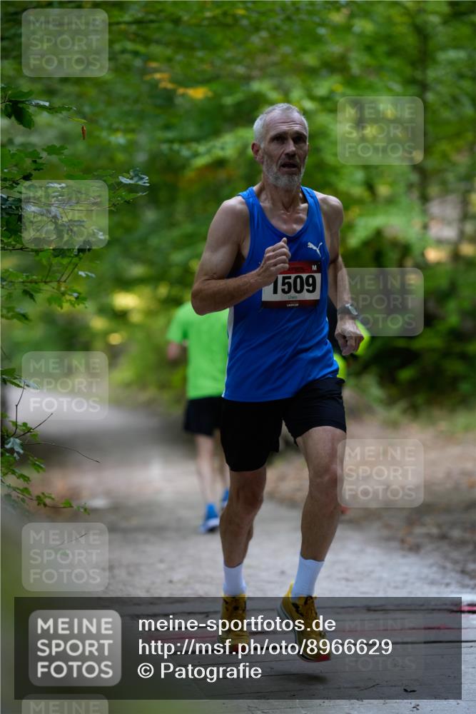28.09.2025 - 33. Volkslauf durch das schöne Alstertal Patografie http://msf.ph/oto/8966629 28.09.2025 09:54:11 Laufen 1509 meine-sportfotos.de
