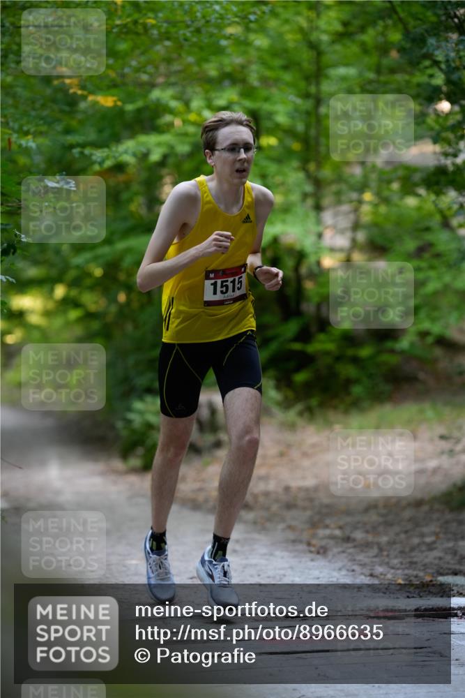 28.09.2025 - 33. Volkslauf durch das schöne Alstertal Patografie http://msf.ph/oto/8966635 28.09.2025 09:55:11 Laufen 1515 meine-sportfotos.de