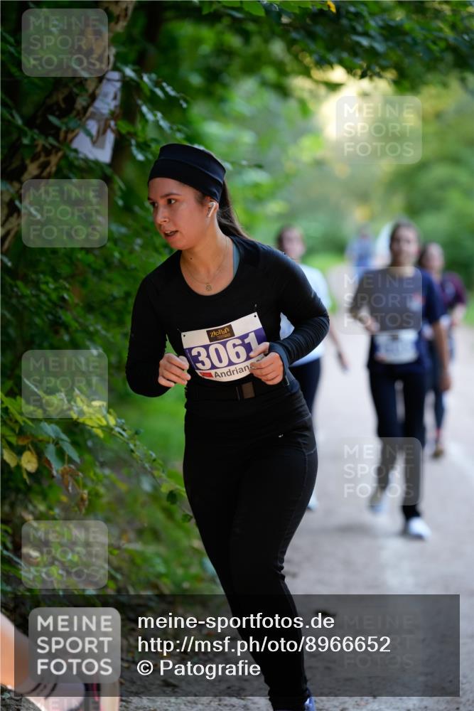 28.09.2025 - 33. Volkslauf durch das schöne Alstertal Patografie http://msf.ph/oto/8966652 28.09.2025 09:58:02 Laufen 3061 meine-sportfotos.de