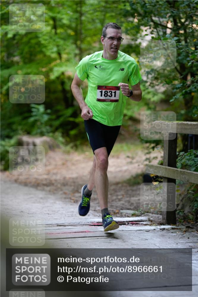 28.09.2025 - 33. Volkslauf durch das schöne Alstertal Patografie http://msf.ph/oto/8966661 28.09.2025 09:58:24 Laufen 1831 meine-sportfotos.de