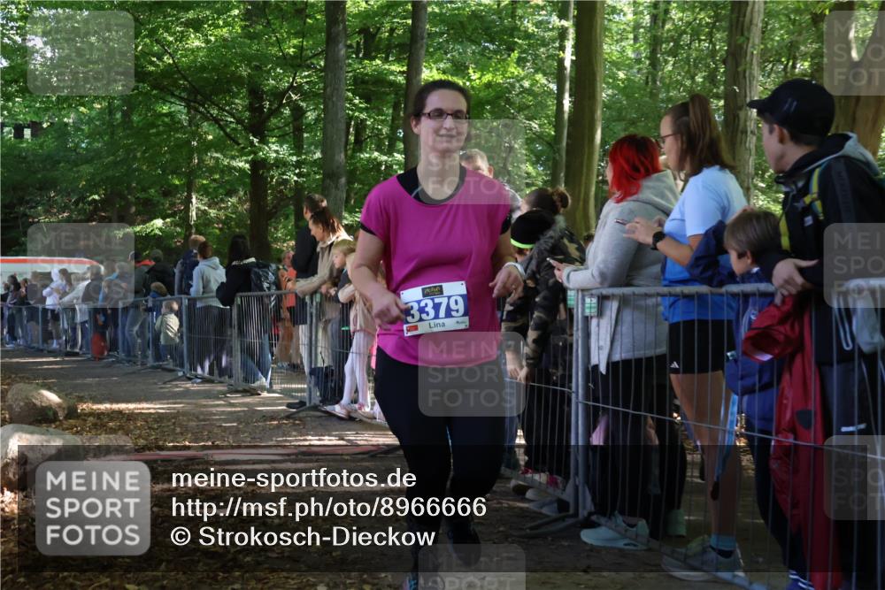 28.09.2025 - 33. Volkslauf durch das schöne Alstertal Strokosch-Dieckow http://msf.ph/oto/8966666 28.09.2025 11:34:17 Ziel 3379 meine-sportfotos.de