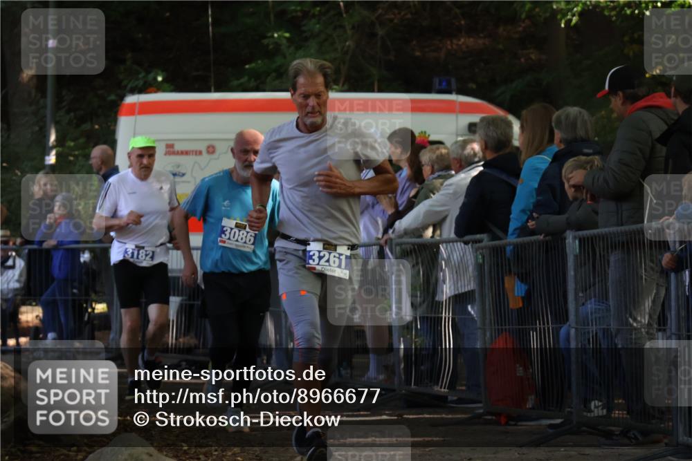 28.09.2025 - 33. Volkslauf durch das schöne Alstertal Strokosch-Dieckow http://msf.ph/oto/8966677 28.09.2025 11:34:22 Ziel 3086, 3182, 3261 meine-sportfotos.de