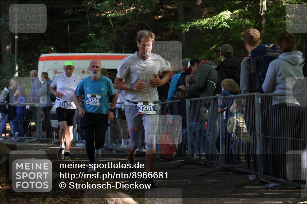 28.09.2025 - 33. Volkslauf durch das schöne Alstertal Strokosch-Dieckow http://msf.ph/oto/8966681 28.09.2025 11:34:23 Ziel 3086, 3182, 3261 meine-sportfotos.de