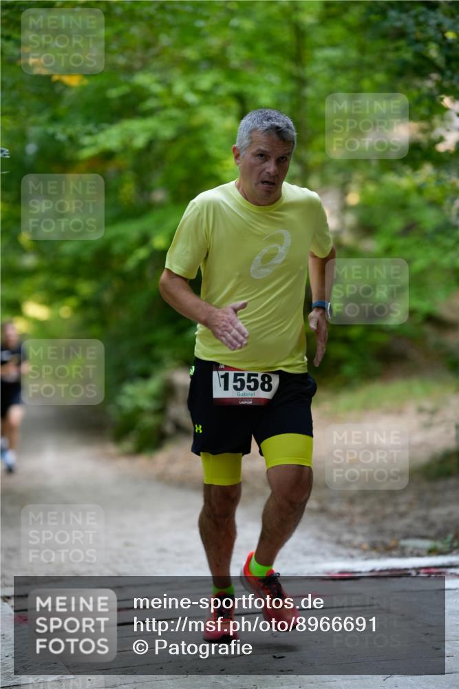 28.09.2025 - 33. Volkslauf durch das schöne Alstertal Patografie http://msf.ph/oto/8966691 28.09.2025 10:02:56 Laufen 1558 meine-sportfotos.de