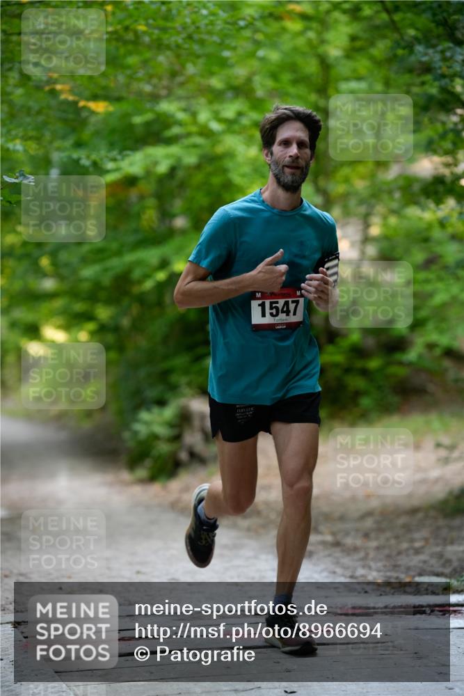 28.09.2025 - 33. Volkslauf durch das schöne Alstertal Patografie http://msf.ph/oto/8966694 28.09.2025 10:03:11 Laufen 1547 meine-sportfotos.de