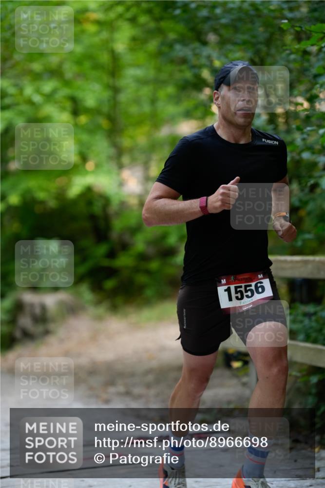 28.09.2025 - 33. Volkslauf durch das schöne Alstertal Patografie http://msf.ph/oto/8966698 28.09.2025 10:03:32 Laufen 1556 meine-sportfotos.de