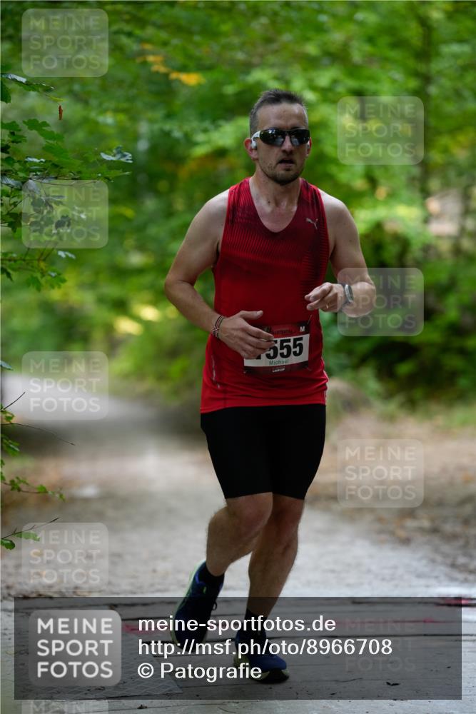 28.09.2025 - 33. Volkslauf durch das schöne Alstertal Patografie http://msf.ph/oto/8966708 28.09.2025 10:04:31 Laufen 1555 meine-sportfotos.de