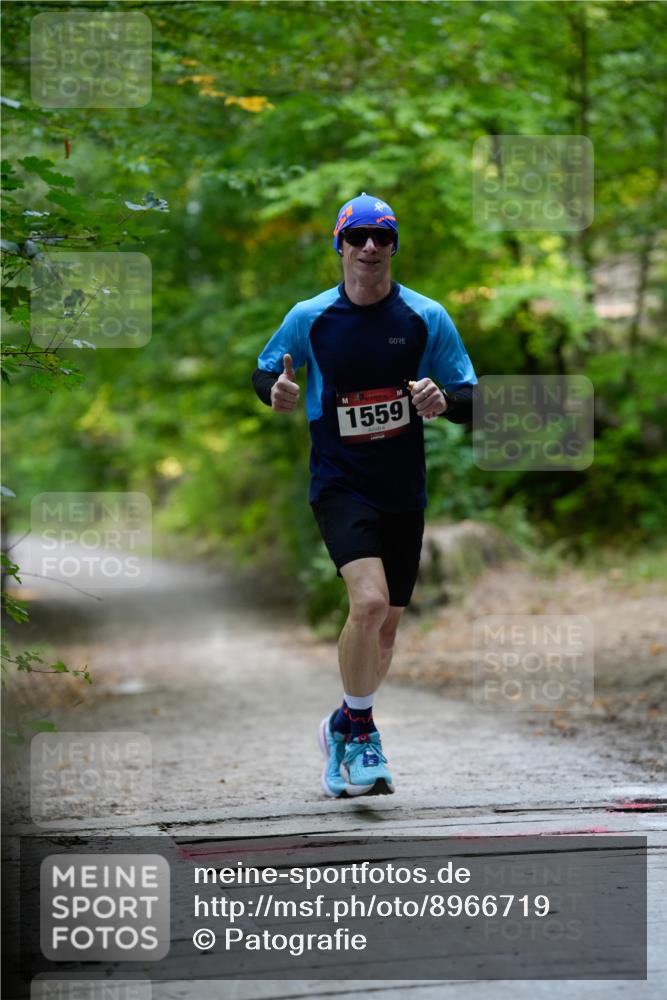 28.09.2025 - 33. Volkslauf durch das schöne Alstertal Patografie http://msf.ph/oto/8966719 28.09.2025 10:05:54 Laufen 1559 meine-sportfotos.de