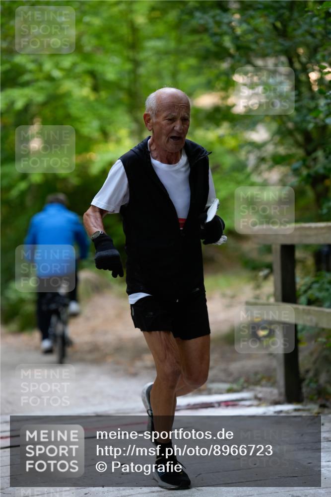 28.09.2025 - 33. Volkslauf durch das schöne Alstertal Patografie http://msf.ph/oto/8966723 28.09.2025 10:06:12 Laufen  meine-sportfotos.de