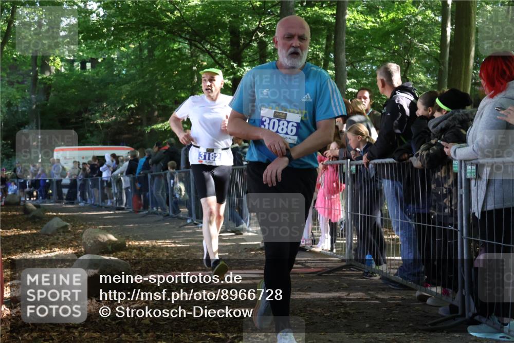 28.09.2025 - 33. Volkslauf durch das schöne Alstertal Strokosch-Dieckow http://msf.ph/oto/8966728 28.09.2025 11:34:29 Ziel 1003, 3086, 3182 meine-sportfotos.de