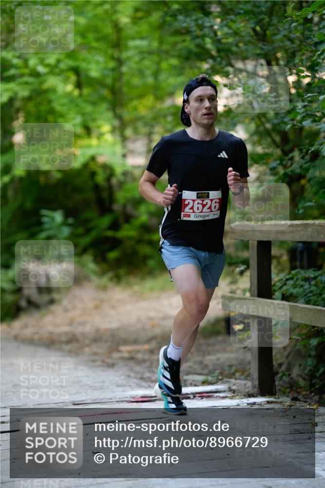 28.09.2025 - 33. Volkslauf durch das schöne Alstertal Patografie http://msf.ph/oto/8966729 28.09.2025 10:06:26 Laufen 2626 meine-sportfotos.de