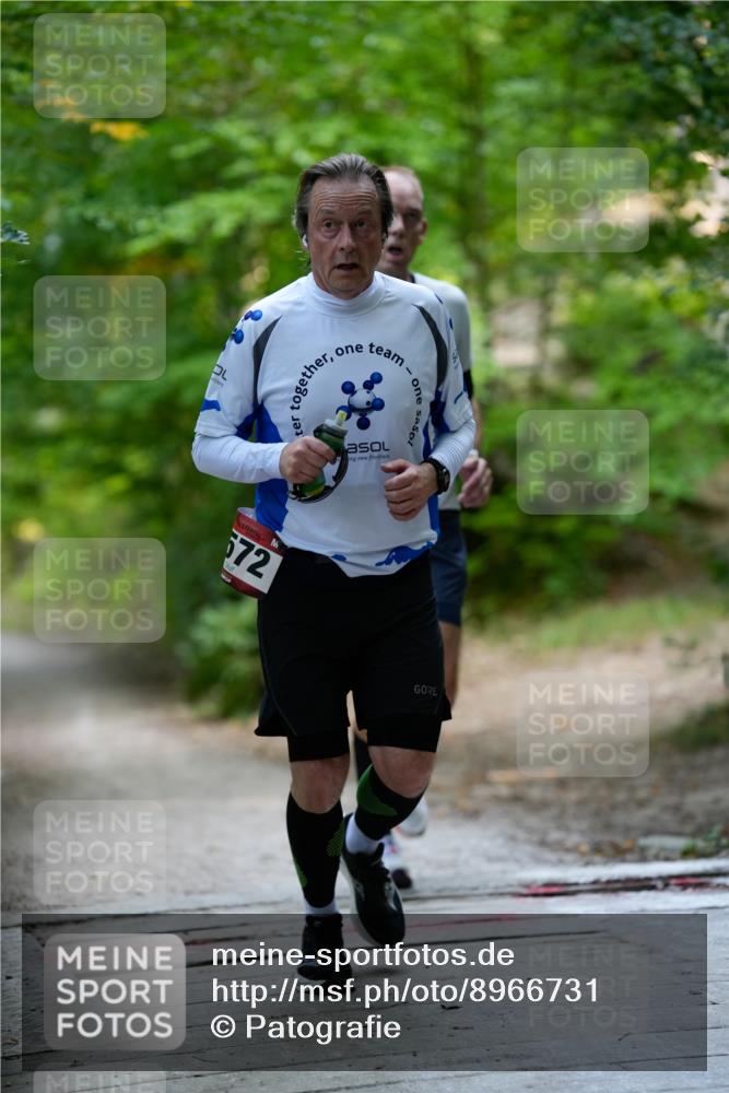 28.09.2025 - 33. Volkslauf durch das schöne Alstertal Patografie http://msf.ph/oto/8966731 28.09.2025 10:06:31 Laufen 572 meine-sportfotos.de