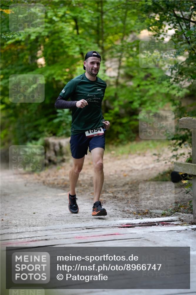 28.09.2025 - 33. Volkslauf durch das schöne Alstertal Patografie http://msf.ph/oto/8966747 28.09.2025 10:08:50 Laufen 1994 meine-sportfotos.de