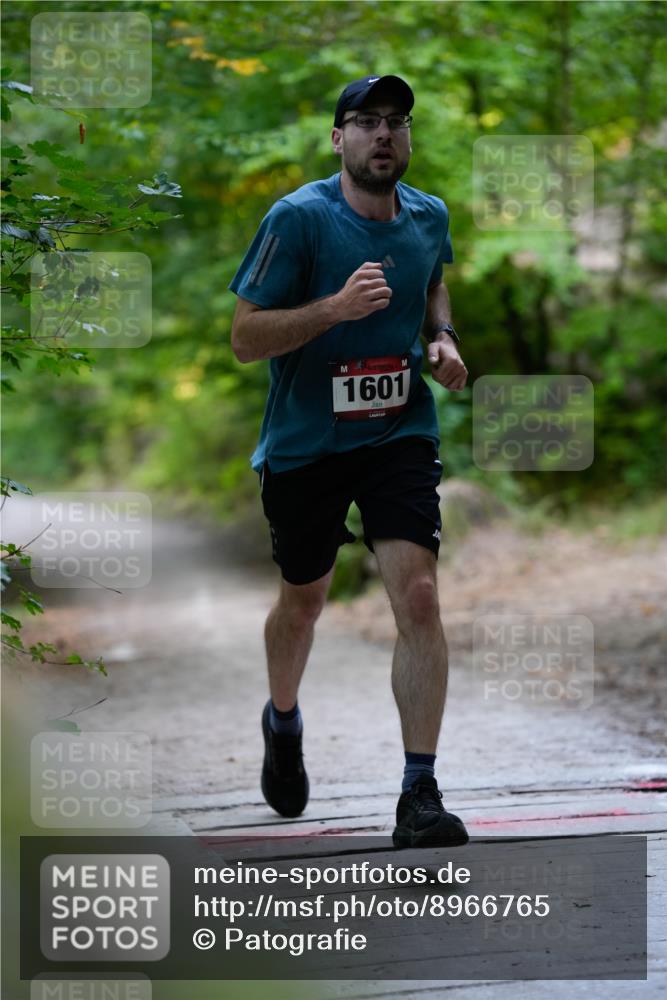 28.09.2025 - 33. Volkslauf durch das schöne Alstertal Patografie http://msf.ph/oto/8966765 28.09.2025 10:10:20 Laufen 1601 meine-sportfotos.de