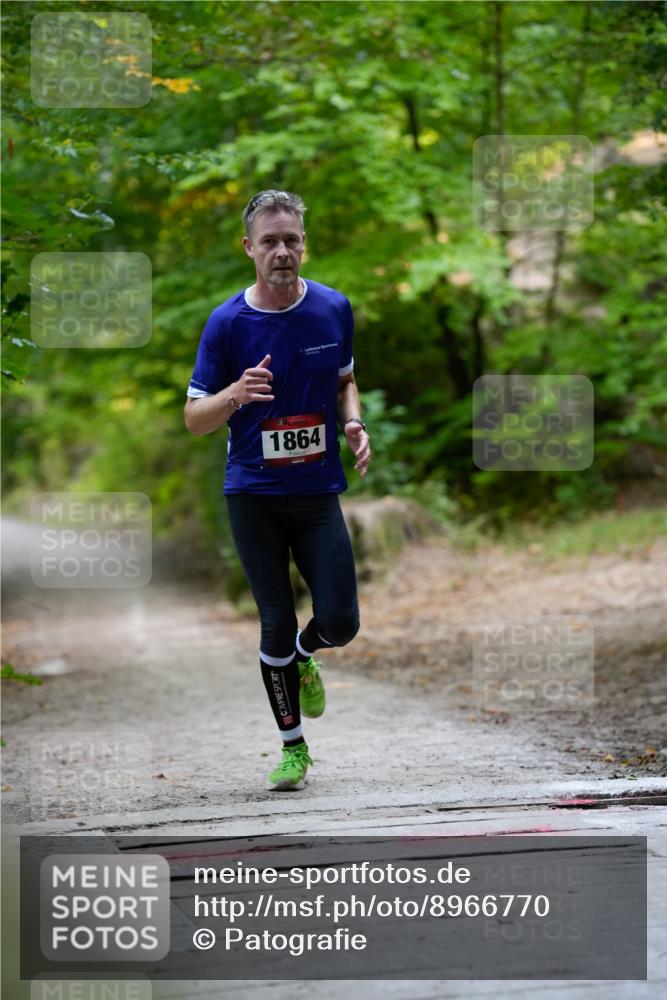 28.09.2025 - 33. Volkslauf durch das schöne Alstertal Patografie http://msf.ph/oto/8966770 28.09.2025 10:11:15 Laufen 1864 meine-sportfotos.de