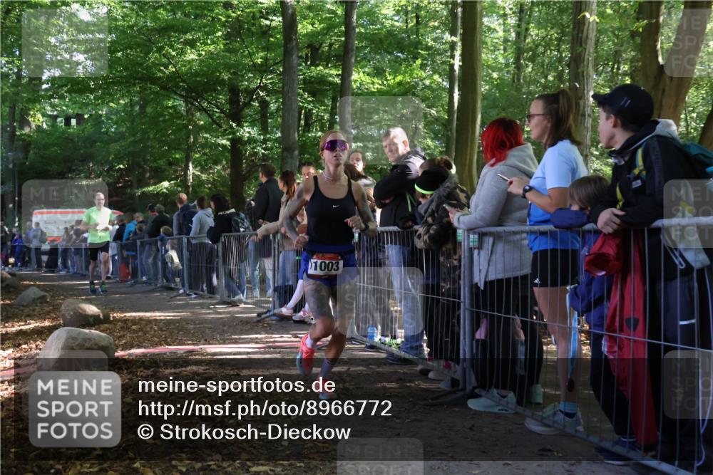 28.09.2025 - 33. Volkslauf durch das schöne Alstertal Strokosch-Dieckow http://msf.ph/oto/8966772 28.09.2025 11:34:37 Ziel 1003, 1831, 3348 meine-sportfotos.de