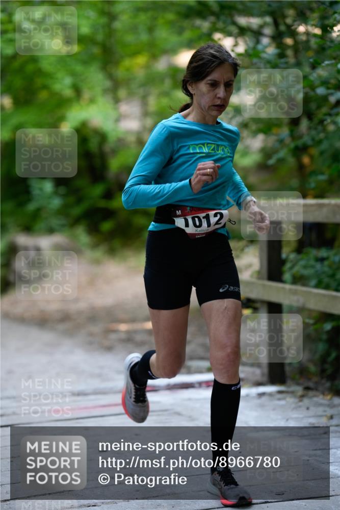 28.09.2025 - 33. Volkslauf durch das schöne Alstertal Patografie http://msf.ph/oto/8966780 28.09.2025 10:13:04 Laufen 1012 meine-sportfotos.de
