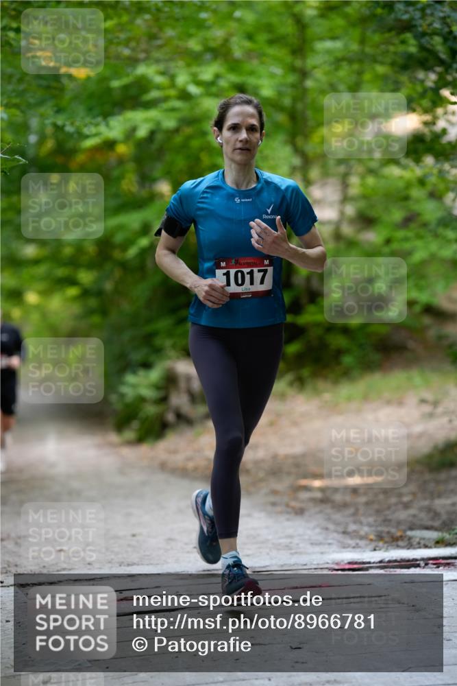 28.09.2025 - 33. Volkslauf durch das schöne Alstertal Patografie http://msf.ph/oto/8966781 28.09.2025 10:13:16 Laufen 1017 meine-sportfotos.de
