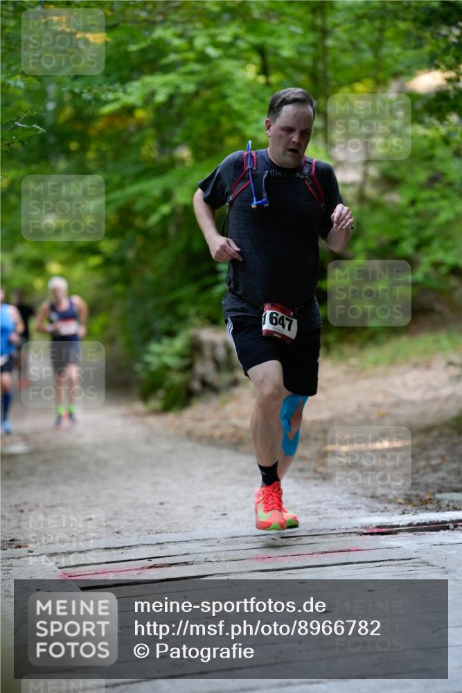 28.09.2025 - 33. Volkslauf durch das schöne Alstertal Patografie http://msf.ph/oto/8966782 28.09.2025 10:13:24 Laufen 647 meine-sportfotos.de