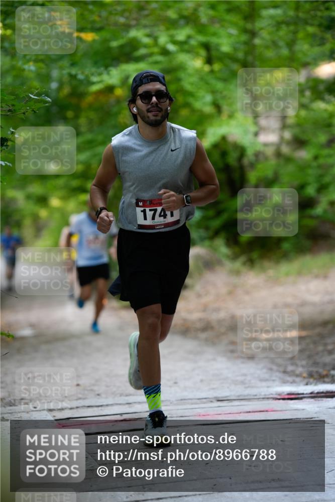 28.09.2025 - 33. Volkslauf durch das schöne Alstertal Patografie http://msf.ph/oto/8966788 28.09.2025 10:13:36 Laufen 1741 meine-sportfotos.de