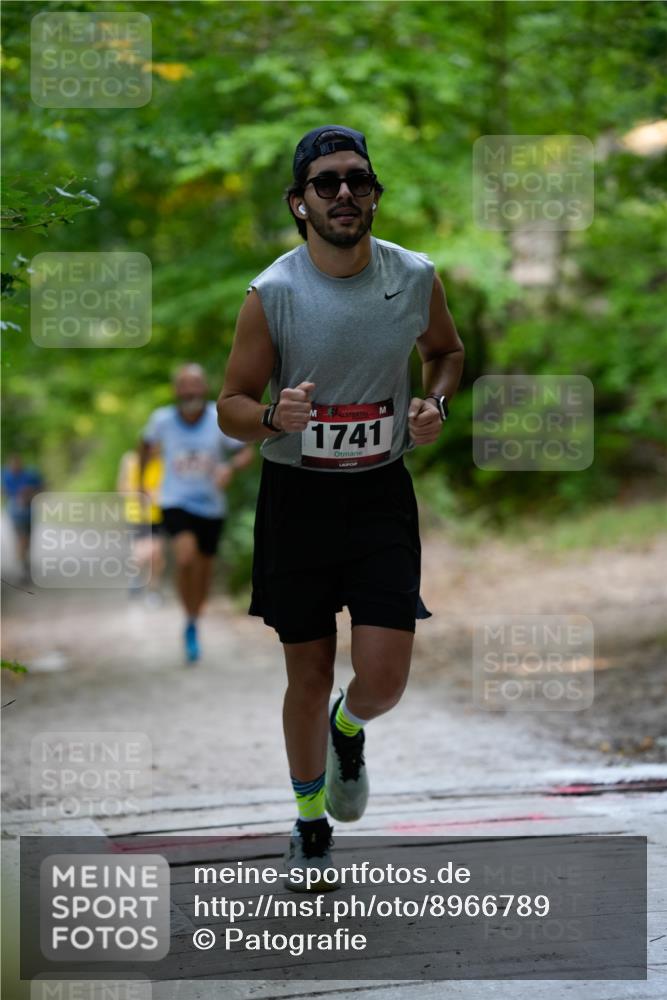 28.09.2025 - 33. Volkslauf durch das schöne Alstertal Patografie http://msf.ph/oto/8966789 28.09.2025 10:13:36 Laufen 1741 meine-sportfotos.de