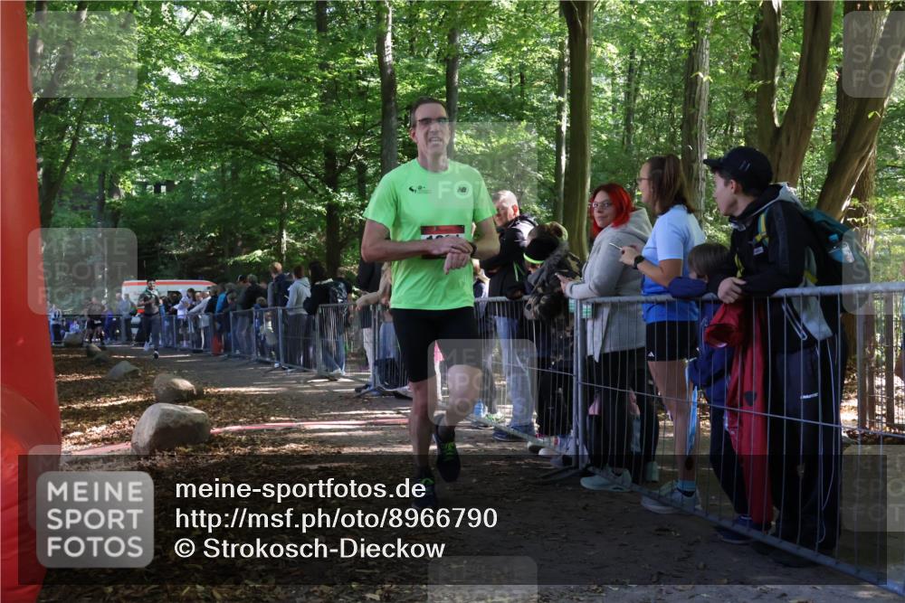 28.09.2025 - 33. Volkslauf durch das schöne Alstertal Strokosch-Dieckow http://msf.ph/oto/8966790 28.09.2025 11:34:40 Ziel 1831, 3348 meine-sportfotos.de