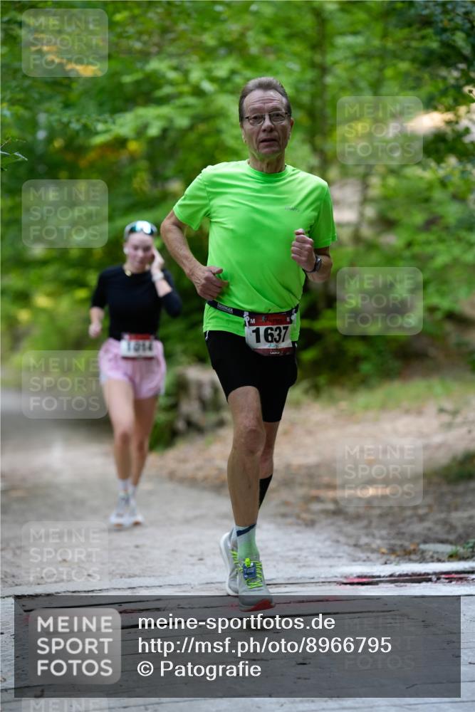 28.09.2025 - 33. Volkslauf durch das schöne Alstertal Patografie http://msf.ph/oto/8966795 28.09.2025 10:13:59 Laufen 014, 1637 meine-sportfotos.de
