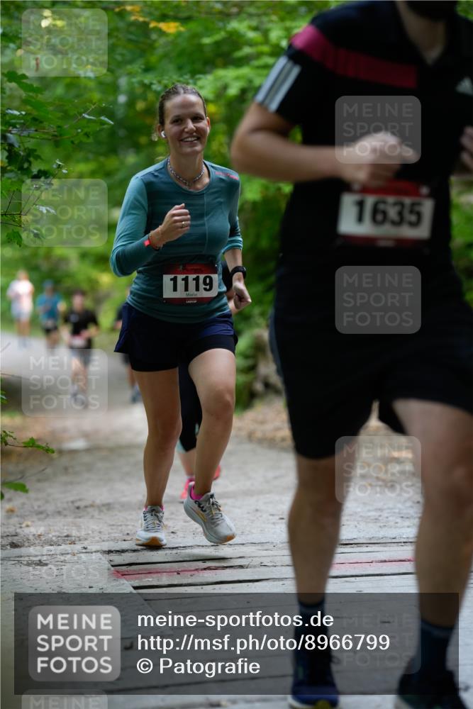 28.09.2025 - 33. Volkslauf durch das schöne Alstertal Patografie http://msf.ph/oto/8966799 28.09.2025 10:14:21 Laufen 1119, 1635 meine-sportfotos.de