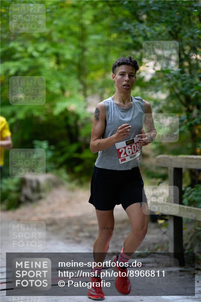 28.09.2025 - 33. Volkslauf durch das schöne Alstertal Patografie http://msf.ph/oto/8966811 28.09.2025 10:15:22 Laufen 2605 meine-sportfotos.de