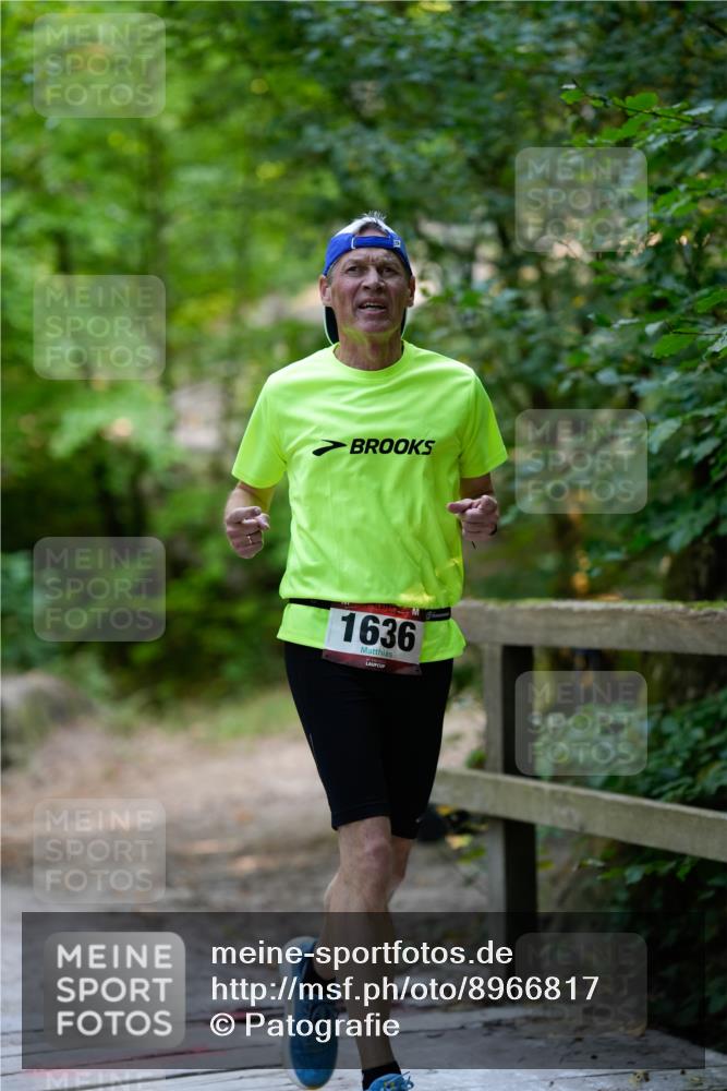 28.09.2025 - 33. Volkslauf durch das schöne Alstertal Patografie http://msf.ph/oto/8966817 28.09.2025 10:15:32 Laufen 1636 meine-sportfotos.de