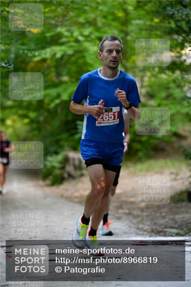 28.09.2025 - 33. Volkslauf durch das schöne Alstertal Patografie http://msf.ph/oto/8966819 28.09.2025 10:16:11 Laufen 2651 meine-sportfotos.de