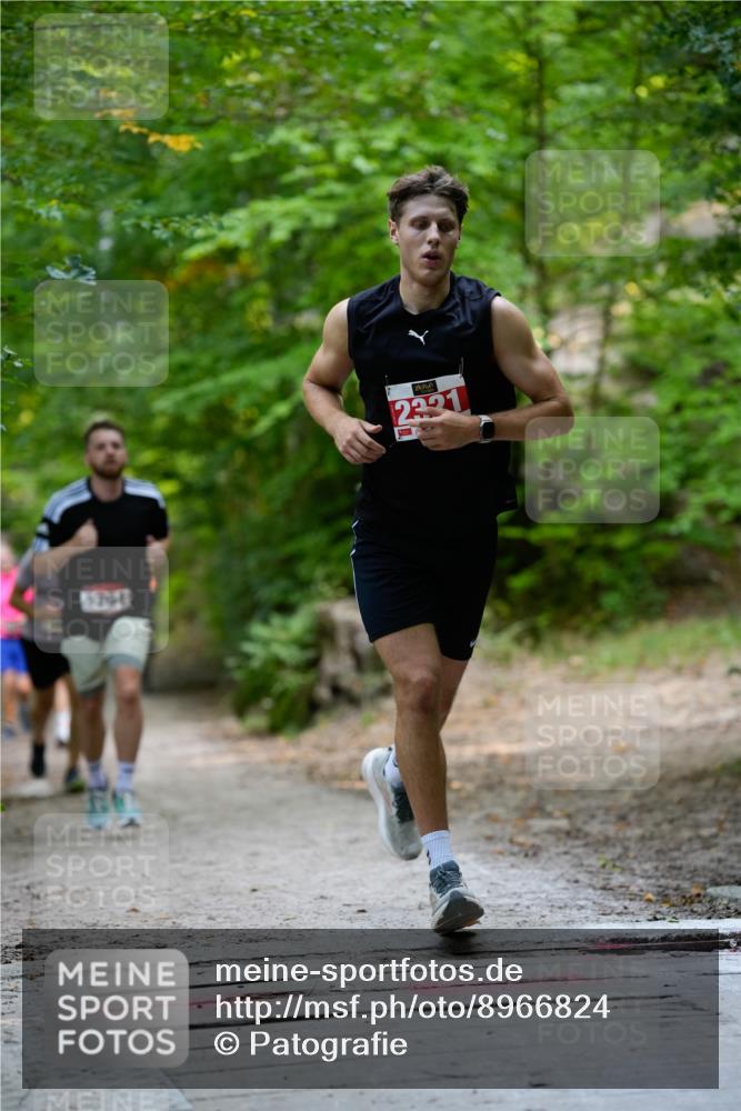 28.09.2025 - 33. Volkslauf durch das schöne Alstertal Patografie http://msf.ph/oto/8966824 28.09.2025 10:17:07 Laufen 1764, 2321 meine-sportfotos.de
