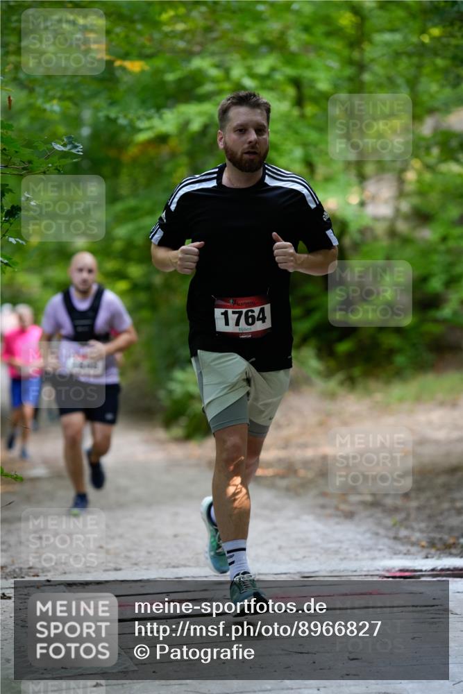 28.09.2025 - 33. Volkslauf durch das schöne Alstertal Patografie http://msf.ph/oto/8966827 28.09.2025 10:17:09 Laufen 1764 meine-sportfotos.de