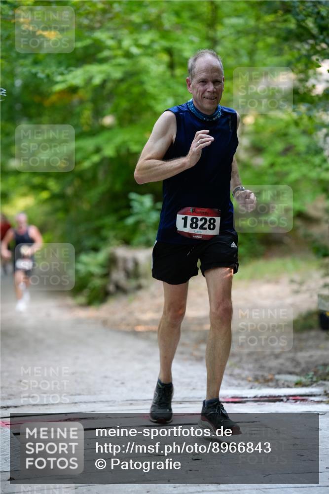 28.09.2025 - 33. Volkslauf durch das schöne Alstertal Patografie http://msf.ph/oto/8966843 28.09.2025 10:18:26 Laufen 2, 1828 meine-sportfotos.de