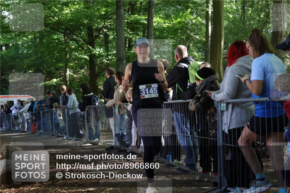 28.09.2025 - 33. Volkslauf durch das schöne Alstertal Strokosch-Dieckow http://msf.ph/oto/8966860 28.09.2025 11:35:09 Ziel 3145 meine-sportfotos.de
