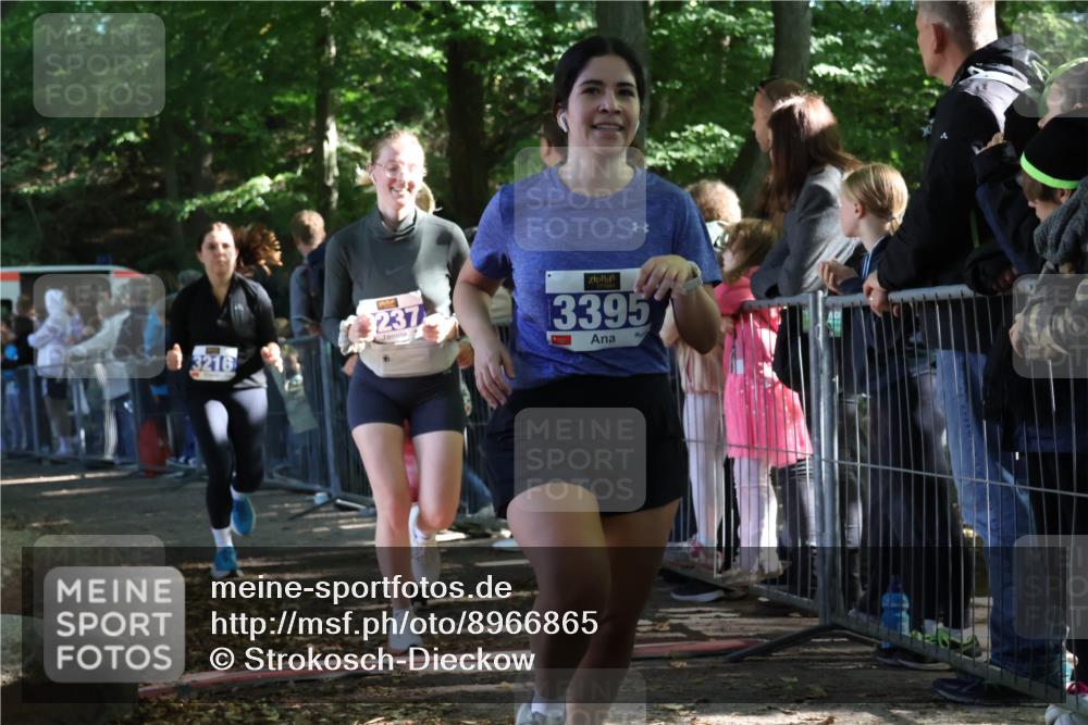 28.09.2025 - 33. Volkslauf durch das schöne Alstertal Strokosch-Dieckow http://msf.ph/oto/8966865 28.09.2025 11:35:20 Ziel 3216, 3237, 3356, 3395 meine-sportfotos.de