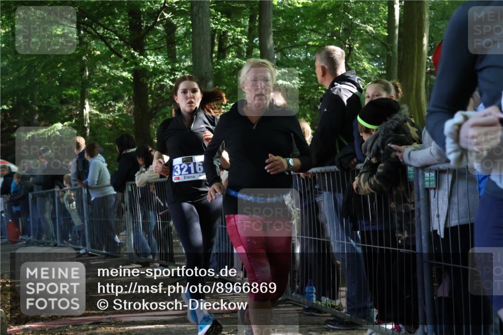 28.09.2025 - 33. Volkslauf durch das schöne Alstertal Strokosch-Dieckow http://msf.ph/oto/8966869 28.09.2025 11:35:22 Ziel 3216, 3237, 3356, 3903 meine-sportfotos.de
