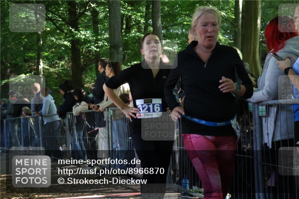 28.09.2025 - 33. Volkslauf durch das schöne Alstertal Strokosch-Dieckow http://msf.ph/oto/8966870 28.09.2025 11:35:23 Ziel 3216, 3356, 3903 meine-sportfotos.de