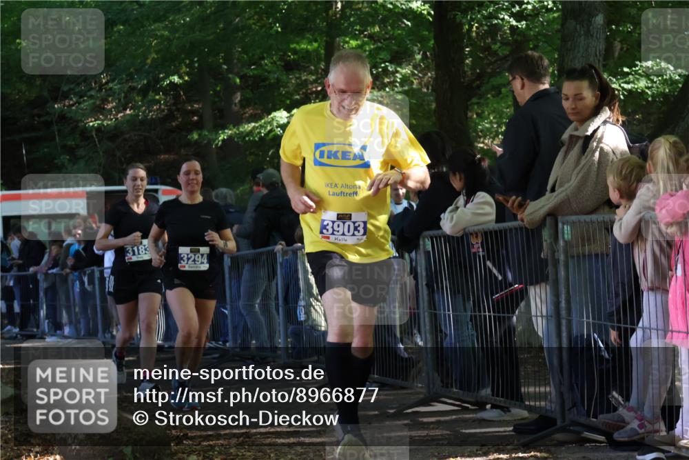 28.09.2025 - 33. Volkslauf durch das schöne Alstertal Strokosch-Dieckow http://msf.ph/oto/8966877 28.09.2025 11:35:30 Ziel 3183, 3294, 3903 meine-sportfotos.de