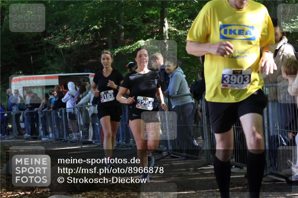28.09.2025 - 33. Volkslauf durch das schöne Alstertal Strokosch-Dieckow http://msf.ph/oto/8966878 28.09.2025 11:35:31 Ziel 3183, 3294, 3903 meine-sportfotos.de