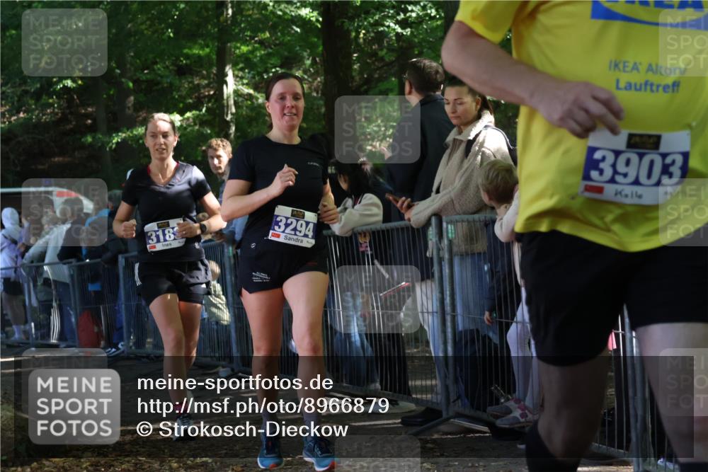 28.09.2025 - 33. Volkslauf durch das schöne Alstertal Strokosch-Dieckow http://msf.ph/oto/8966879 28.09.2025 11:35:32 Ziel 3183, 3294, 3903 meine-sportfotos.de