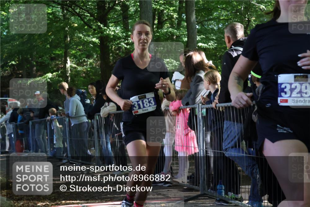 28.09.2025 - 33. Volkslauf durch das schöne Alstertal Strokosch-Dieckow http://msf.ph/oto/8966882 28.09.2025 11:35:34 Ziel 3183, 3294 meine-sportfotos.de