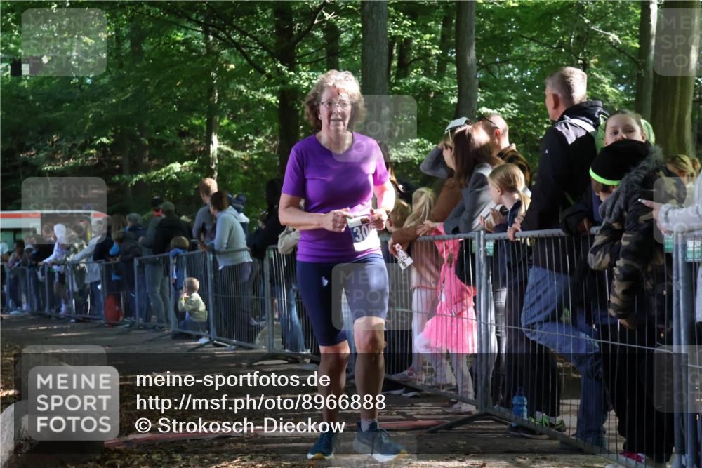 28.09.2025 - 33. Volkslauf durch das schöne Alstertal Strokosch-Dieckow http://msf.ph/oto/8966888 28.09.2025 11:35:47 Ziel 3007, 3135, 3191, 3193 meine-sportfotos.de
