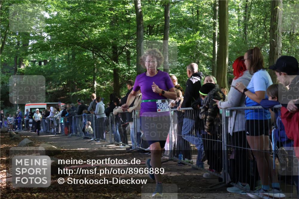28.09.2025 - 33. Volkslauf durch das schöne Alstertal Strokosch-Dieckow http://msf.ph/oto/8966889 28.09.2025 11:35:48 Ziel 3007, 3135, 3191, 3193 meine-sportfotos.de