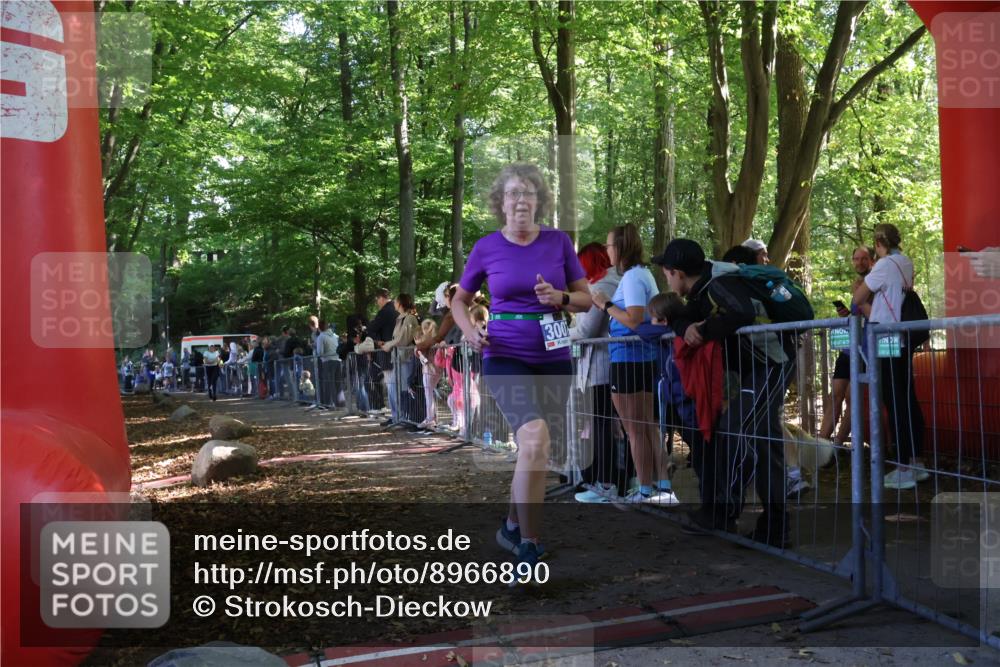 28.09.2025 - 33. Volkslauf durch das schöne Alstertal Strokosch-Dieckow http://msf.ph/oto/8966890 28.09.2025 11:35:49 Ziel 3135, 3191, 3193 meine-sportfotos.de