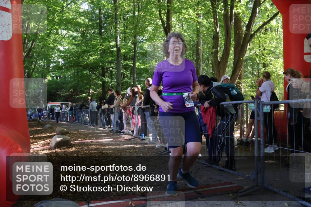 28.09.2025 - 33. Volkslauf durch das schöne Alstertal Strokosch-Dieckow http://msf.ph/oto/8966891 28.09.2025 11:35:49 Ziel 3135, 3191, 3193 meine-sportfotos.de