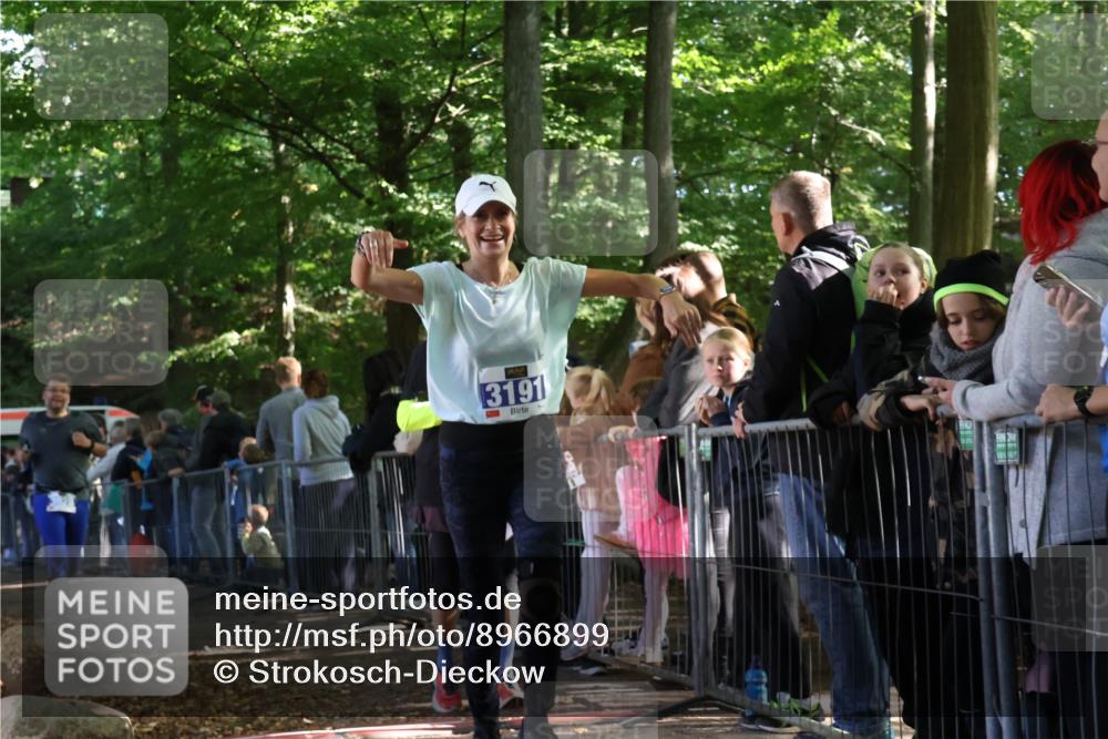 28.09.2025 - 33. Volkslauf durch das schöne Alstertal Strokosch-Dieckow http://msf.ph/oto/8966899 28.09.2025 11:35:55 Ziel 1529, 3135, 3191, 3193, 3928 meine-sportfotos.de