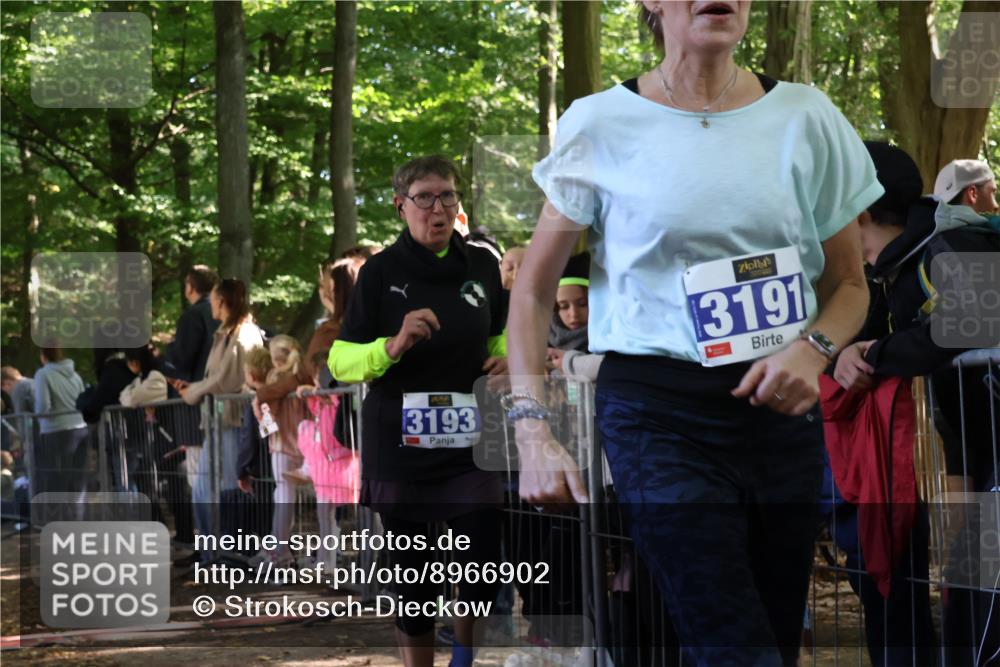 28.09.2025 - 33. Volkslauf durch das schöne Alstertal Strokosch-Dieckow http://msf.ph/oto/8966902 28.09.2025 11:35:57 Ziel 1529, 3193, 3928 meine-sportfotos.de