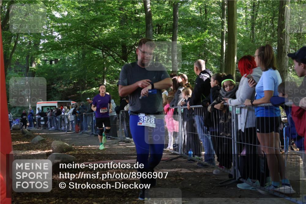 28.09.2025 - 33. Volkslauf durch das schöne Alstertal Strokosch-Dieckow http://msf.ph/oto/8966907 28.09.2025 11:36:00 Ziel 1529, 3102, 3928 meine-sportfotos.de