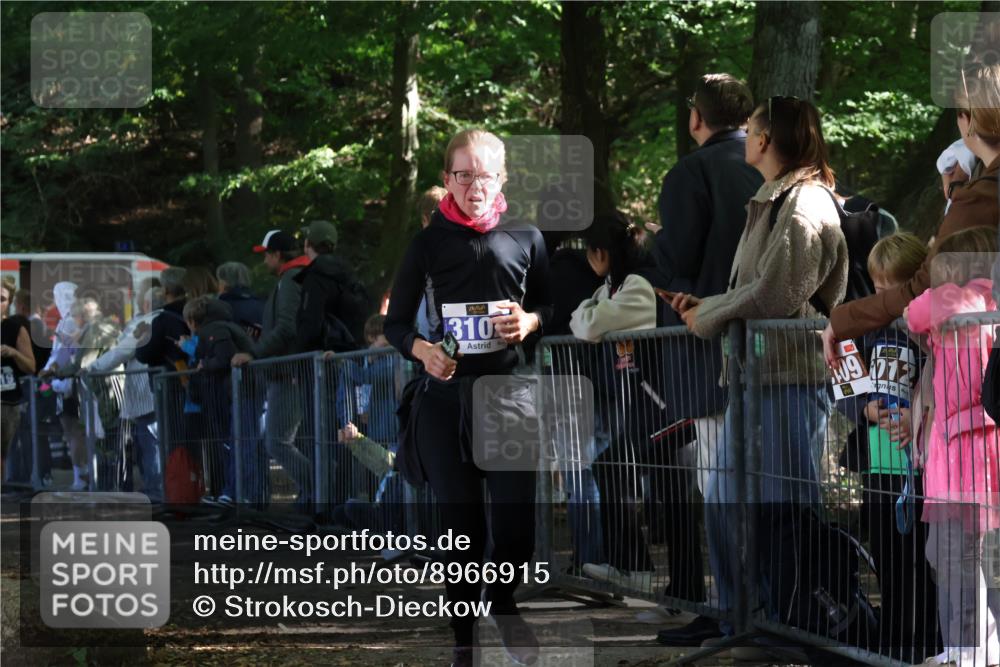 28.09.2025 - 33. Volkslauf durch das schöne Alstertal Strokosch-Dieckow http://msf.ph/oto/8966915 28.09.2025 11:36:08 Ziel 3102, 3119 meine-sportfotos.de